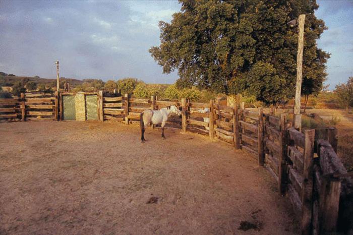 جاريز دي لا فيرا Casa Rural Finca Valvellidos المظهر الخارجي الصورة